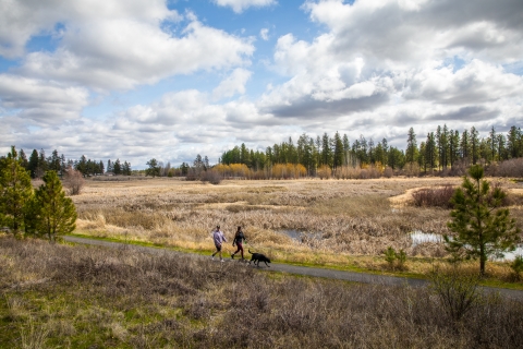 A couple walks their dogs on a paved trail