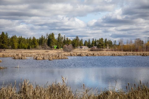 Refuge buildings as seen from across a small pond
