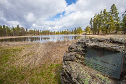 A plaque sits next to a small wetland