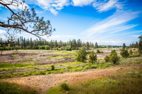 Looking down into the Pine Lakes drainage from above