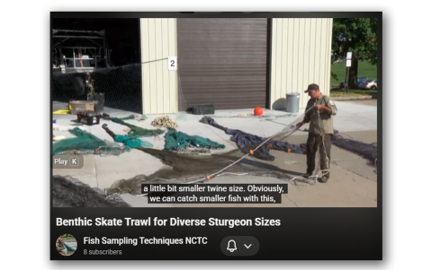 Benthic Skate Trawl for Diverse Sturgeon Sizes