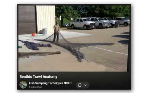 Benthic Trawl Anatomy