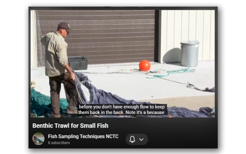Benthic Trawl for Small Fish