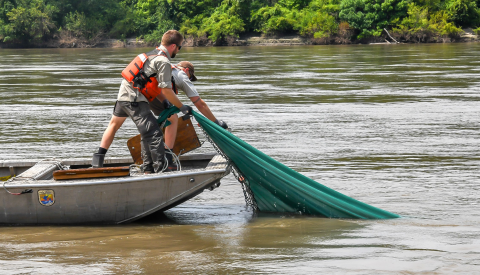 Benthic Trawl Example