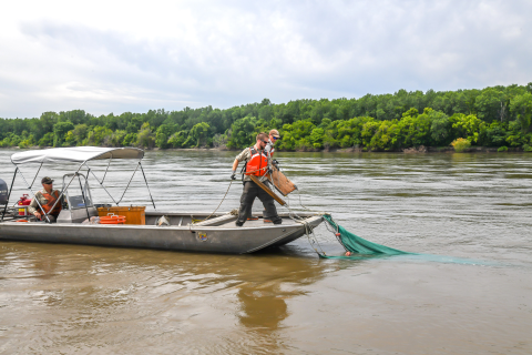 The Otter boards are held in position for proper deployment