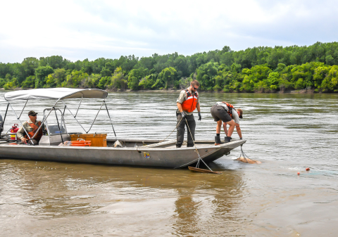 The Otter boards are carefully played-out into the water to maintain the correct positioning of the trawl net