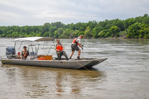 The trawl is being let out to the desired sampling position