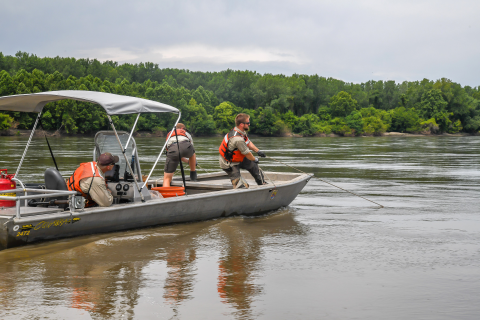 At the completion of the sampling run, the tow lines or Warps are pulled in to retrieve the trawl