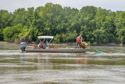 The trawl is being hauled up on the deck