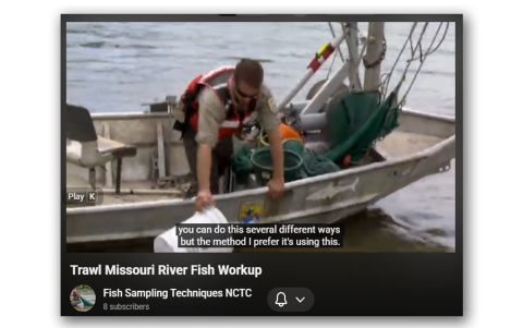 Fish workup of the sample taken by mechanized trawling