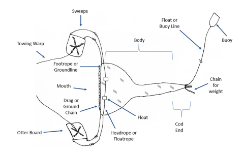 Benthic Trawl Anatomy