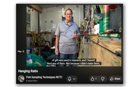 (Part 1) Hanging Ratio, Stretched Mesh, Framing Line