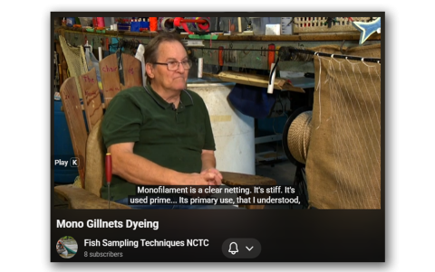 Monofilament Multifilament Dyeing