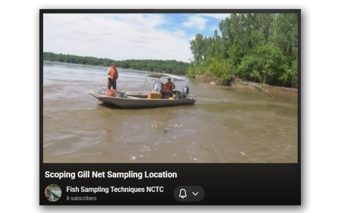 Scoping areas to deploy a gillnet