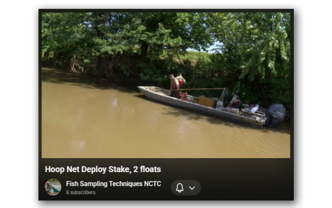 Deployment in swift current, intermediate-sized hoop net, using a stake for cod end, double floats