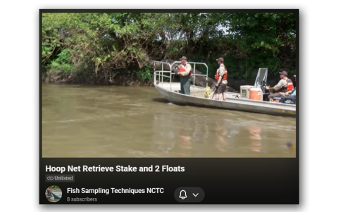 Retrieval in swift current, intermediate-sized hoop net