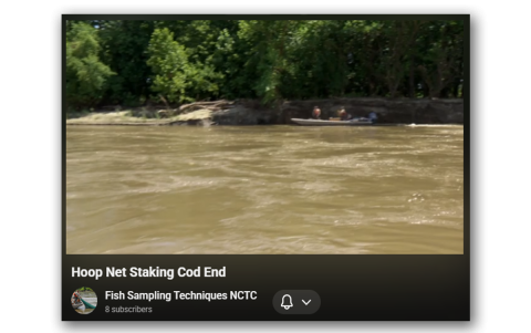 Deployment in swift current, intermediate-sized hoop net, stake cod end, tie bridle