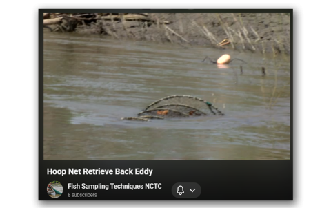 Retrieval in back-eddy (reverse current), intermediate-sized hoop net, cleat assisted removal of stake anchor