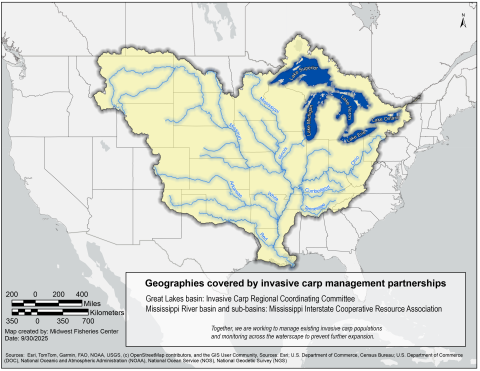 Map of the contiguous United States with the entirety of the Midwest and portions of the Northeast, Southeast, Northeast and Northwest, as well as a portion of Ontario, Alberta and Saskatchewan, Canada, covered by invasive carp management partnerships. These geographies cover 30 U.S. states and include the Great Lakes basin, and the Upper and Lower Mississippi, Ohio, Missouri, Arkansas-Red-White and Tennessee-Cumberland River basins.