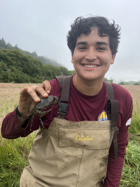 AmeriCorps service member in waders holding a European green crab. Marsh vegetation, trees, and overcast sky in the background.