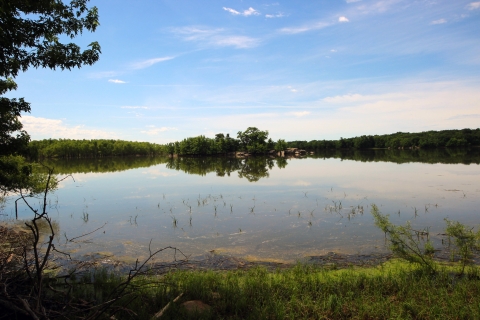 The water of a swamp reflects the sky surrounded by lush vegetation.