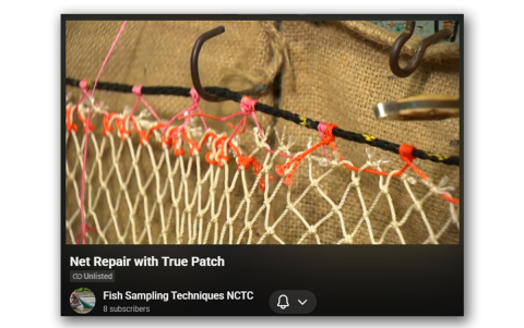Net Repair with a True Patch