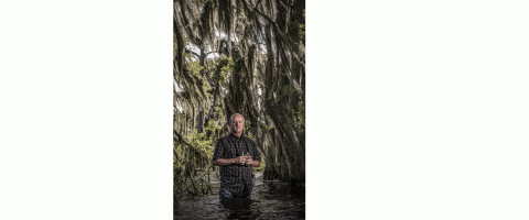 Landowner Paul Gray stands in a swamp surrounded by trees.