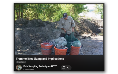 Different sizes and advantages, advice