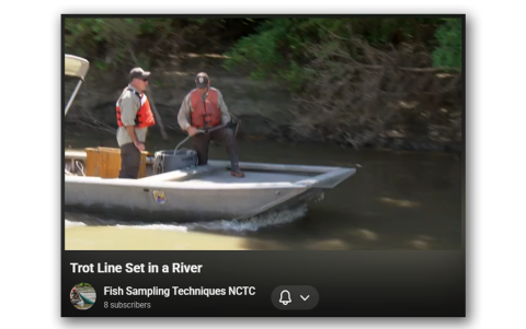 Trotline Set in a River