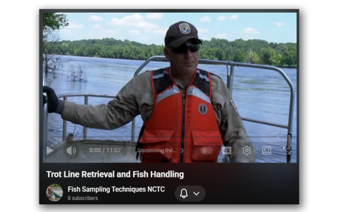 Trot Line Retrieval and Fish Handling