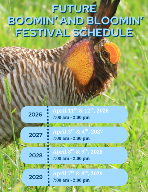 Future Attwater Prairie Chicken National Wildlife Refuge Festival Schedule