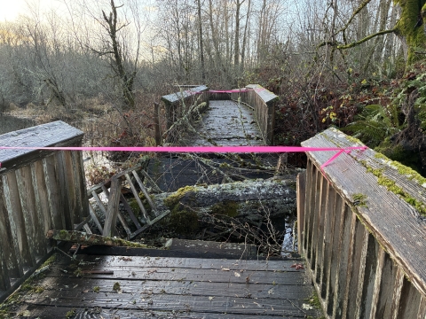 Boardwalk section smashed by tree