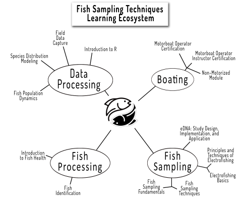 Fish Sampling Techniques Learning Ecosystem