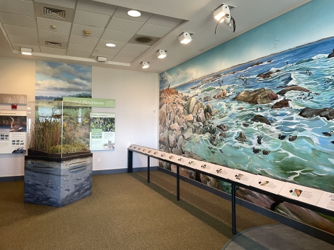 Large painted mural of ocean and birds taking up an entire wall, alongside Coastal Shrubland exhibit in a visitor center.