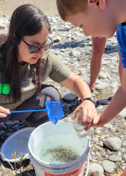 Adults uses small dip net to place fish fry from bucket to cup held by student 