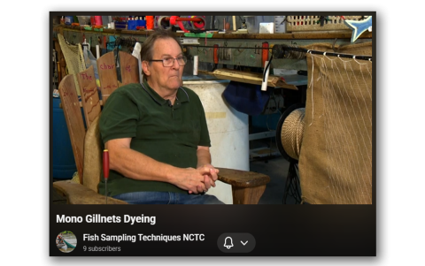 Mono Gillnets-dyeing