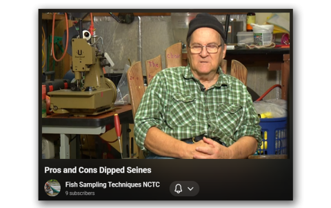 Pros and Cons Dipped Seines