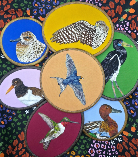 artwork of birds featured in 2026 World Migratory Bird Day