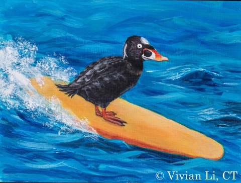 Vivian Li, CT, painted a Surf Scoter on a surf board