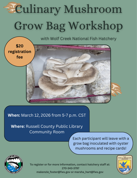 Mushroom Grow Bag Workshop flyer