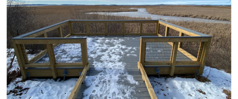 View of marsh in winter on a wooden boardwalk and deck with a railing.