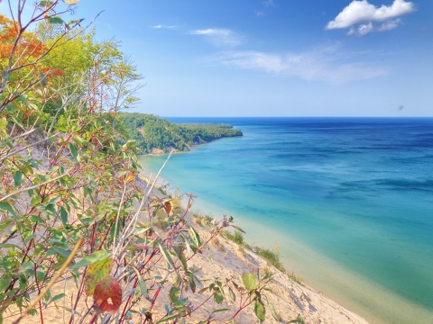 View from a sandy bluff overlooking a turquoise-blue lake, with clear water fading to deep blue toward the horizon. Green forested shoreline curves into the distance under a bright blue sky with a few wispy clouds, while leafy shrubs and branches frame the foreground.