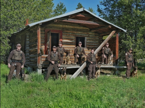 Seven uniformed law enforcement officers with their k-9 units stand in front of a log cabin