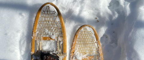 Tips of wooden snowshoes on snow, point of view is from hiker looking down.