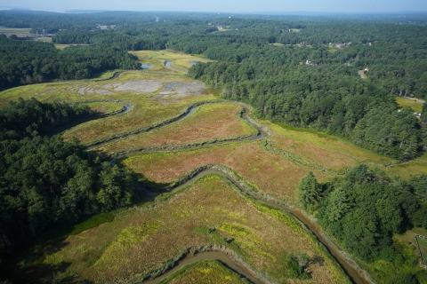 Aerial view of a saltmarsh with meandering channel