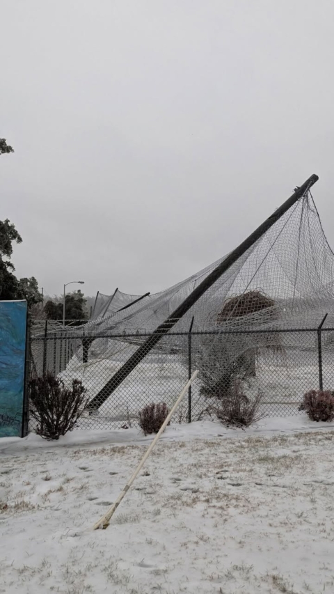 Broken telephone poles in ice storm