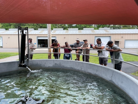 People look over the railing of a large fish tank.