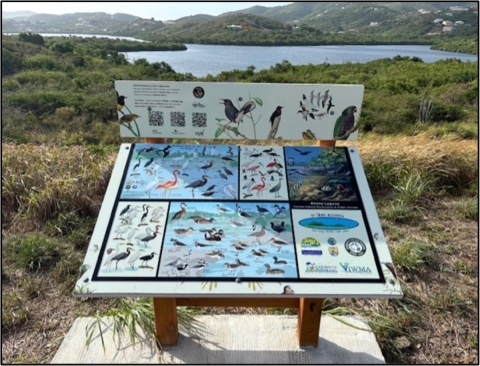 Interpretive sign about coastal birds at an Altona Lagoon overlook in St. Croix, U.S. Virgin Islands