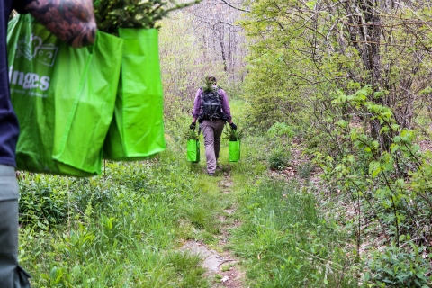 People carrying grocery bags full of trees down a trail