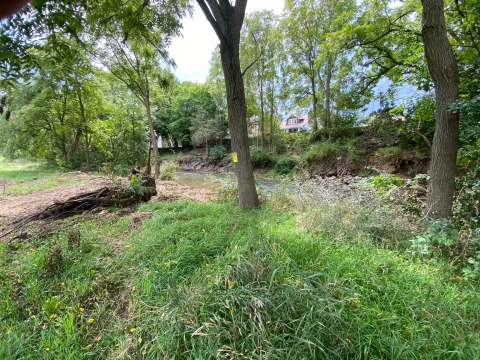Stream with tall stream banks along the edges with grasses in the foreground and tall trees and other vegetation growing around the stream and on the stream bank.